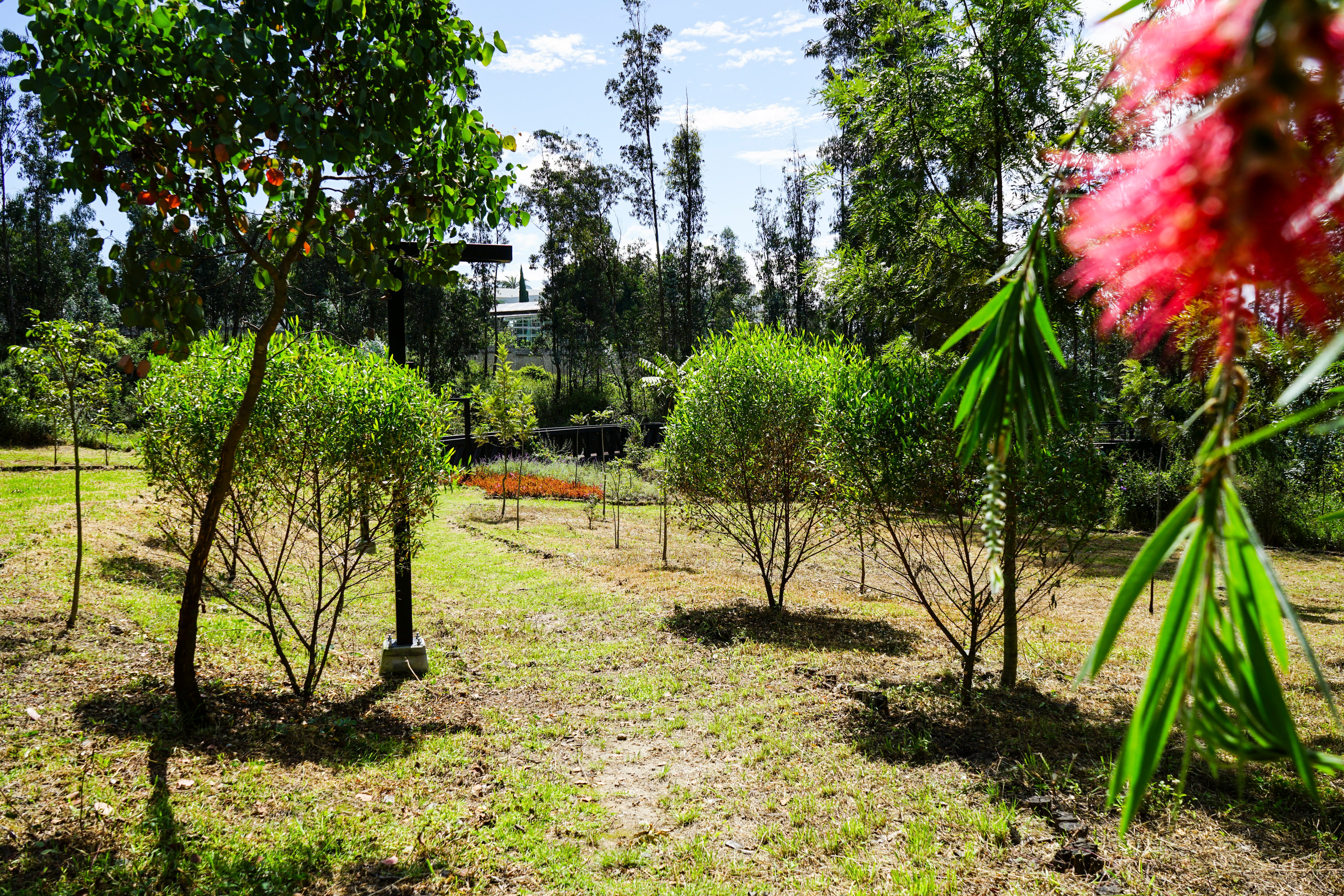 AV235 ABRIL 05