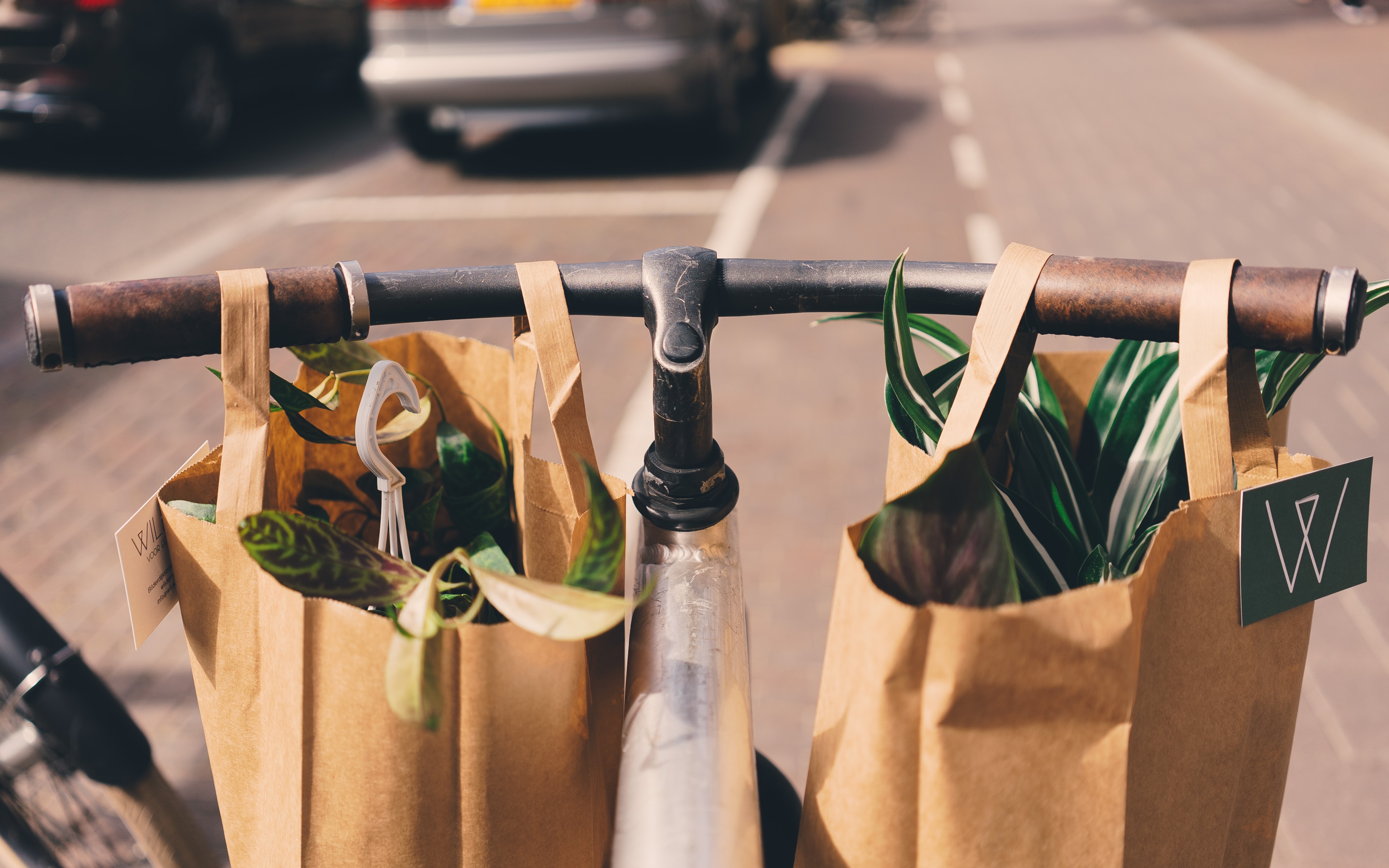 compras-sin-plásitco