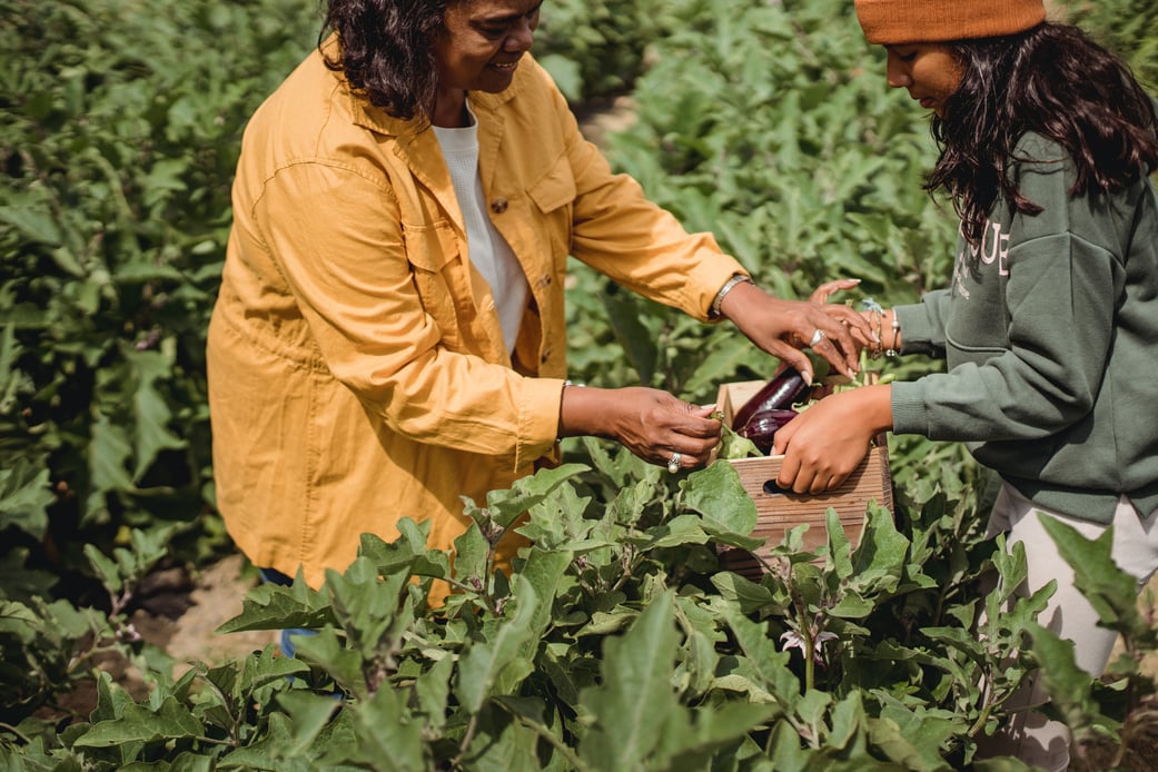 San Patricio Smart Living - alimentación ecológica