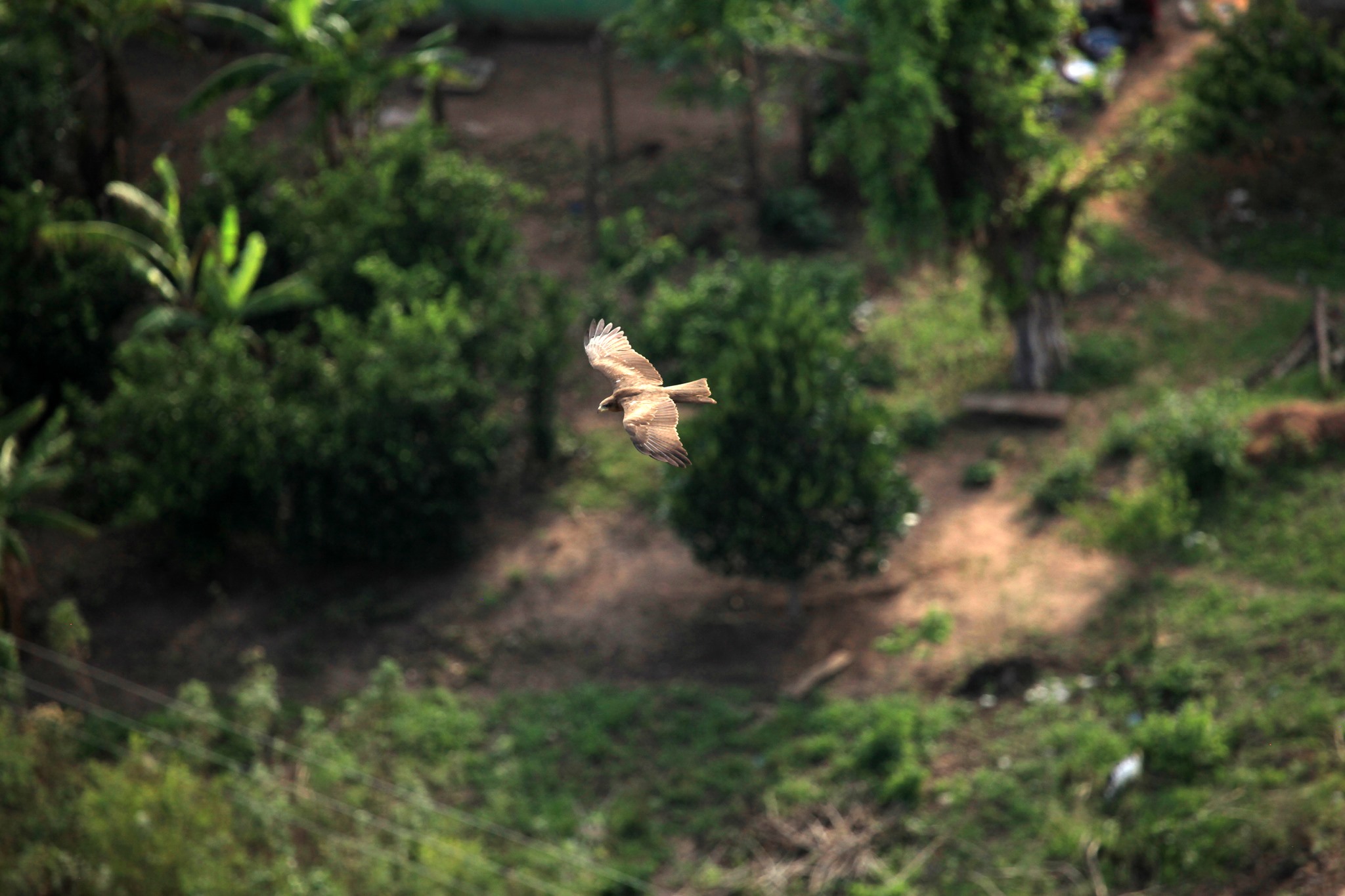 aire-libre-cumbayá