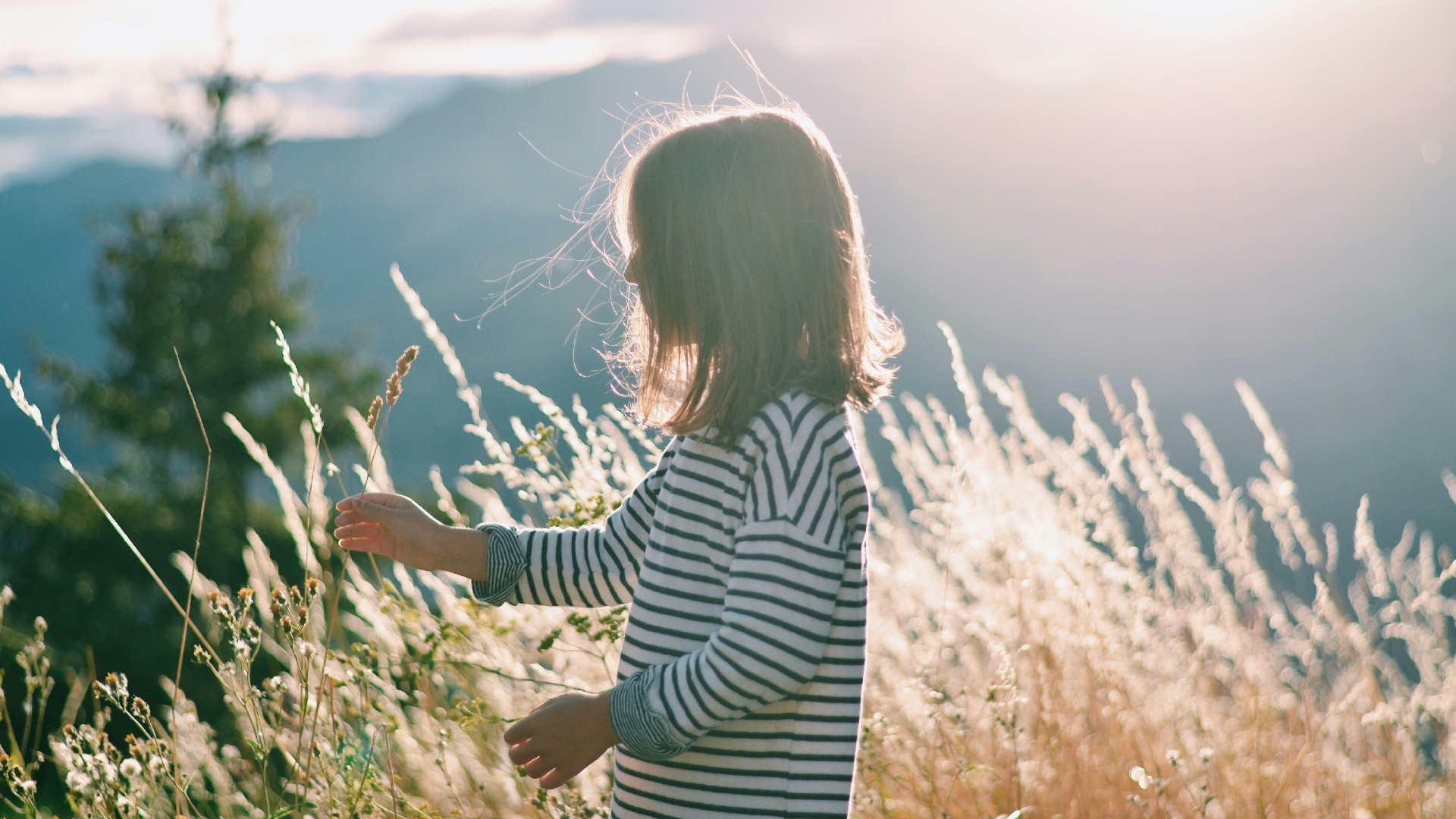 Actividades para hacer que tus hijos conecten más con la naturaleza