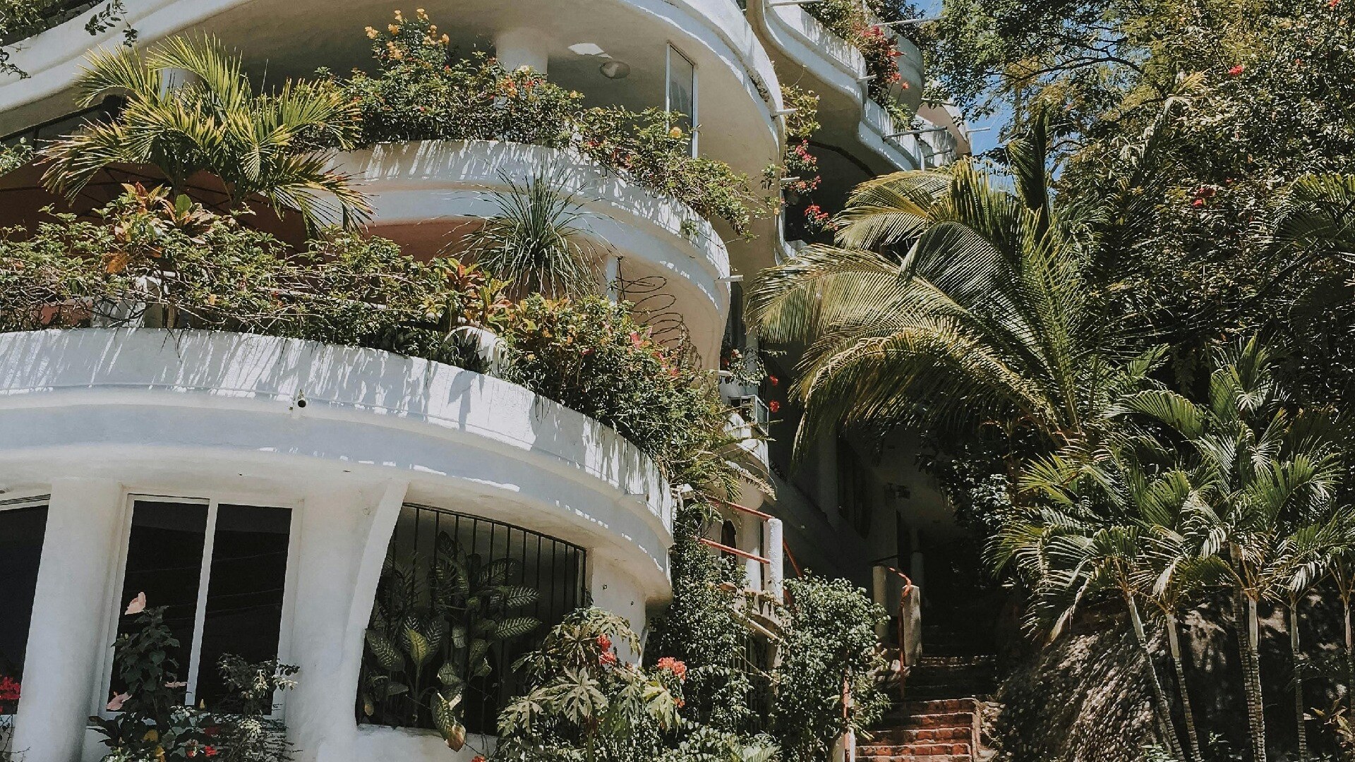 Inspiración para crear jardines verticales en tu hogar